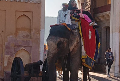 TRAINING CERTIFICATE OF TAJ MAHAL GUIDE Agra